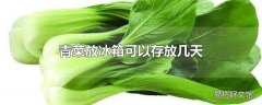 青菜放冰箱可以存放几天