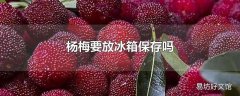 杨梅要放冰箱保存吗