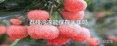 荔枝冷冻能保存半年吗