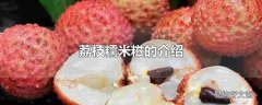 荔枝糯米糍的介绍