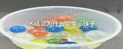 水精灵为什么会生小珠子