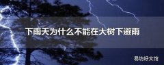 下雨天为什么不能在大树下避雨