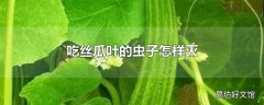 吃丝瓜叶的虫子怎样灭