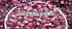 斑马豆煮熟后苦有毒吗