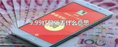 9.99红包代表什么意思