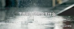 下雨前小动物会干什么