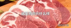 猪里脊肉长什么样