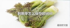 刺嫩芽怎么保存时间长