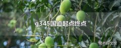 g345国道起点终点