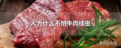 人为什么不怕牛肉绦虫