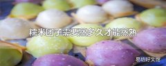 糯米团子需要蒸多久才能蒸熟