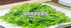 裙带菜是紫菜吗