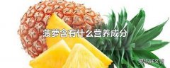 菠萝含有什么营养成分