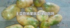 土豆在地里就变绿能吃吗