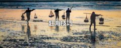 赶海技巧