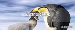 企鹅的哺乳方式
