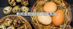 鹌鹑蛋胆固醇比鸡蛋高吗