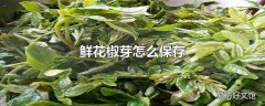 鲜花椒芽怎么保存