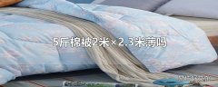 5斤棉被2米×2.3米薄吗