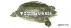 甲鱼是海鲜类食物吗