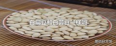 白扁豆和白芸豆一样吗