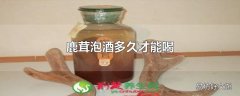 鹿茸泡酒多久才能喝