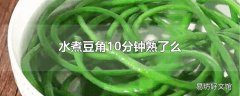 水煮豆角10分钟熟了么