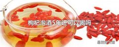 枸杞泡酒5年还可以喝吗