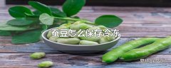 蚕豆怎么保存冷冻