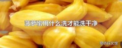 菠萝蜜用什么洗才能洗干净