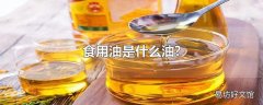 食用油是什么油?