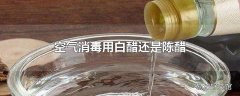 空气消毒用白醋还是陈醋