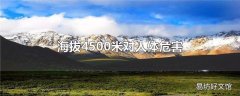 海拔4500米对人体危害