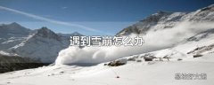 遇到雪崩怎么办