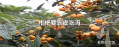 枇杷要剥皮吃吗