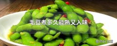 毛豆煮多久能熟又入味