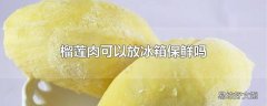 榴莲肉可以放冰箱保鲜吗