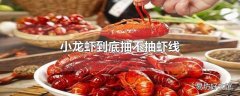 小龙虾到底抽不抽虾线