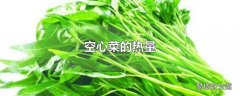 空心菜的热量