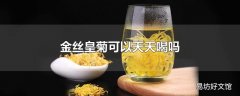 金丝皇菊可以天天喝吗