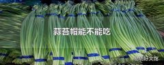 蒜苔帽能不能吃