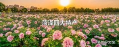 菏泽四大特产