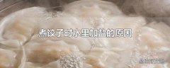 煮饺子时水里加盐的原因