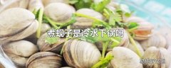 煮蚬子是冷水下锅吗