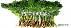 野芹菜要不要焯水