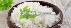 米饭属于碳水化合物吗