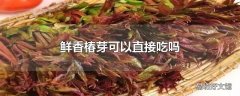 鲜香椿芽可以直接吃吗