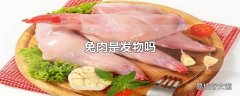 兔肉是发物吗