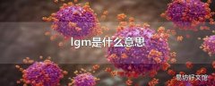 lgm是什么意思