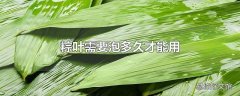 粽叶需要泡多久才能用